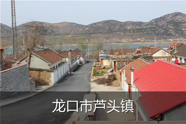 龙口市芦头镇